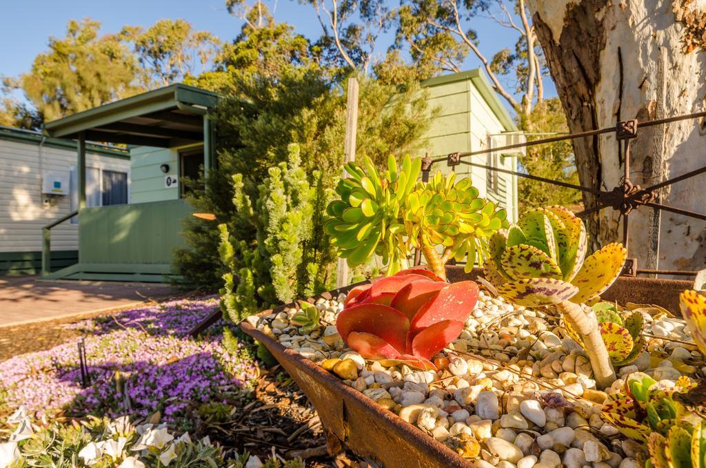 Lake Albert Caravan Park Hotel Meningie Bagian luar foto